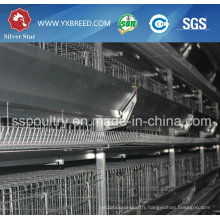 Low Price Battery Cage for Layer